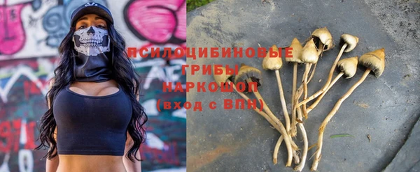 ALPHA PVP Алзамай