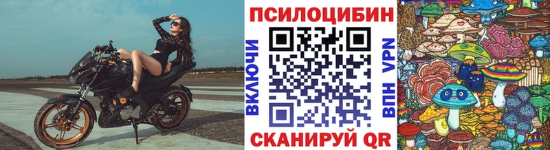 omg ТОР  Чёрмоз  Псилоцибиновые грибы мицелий 